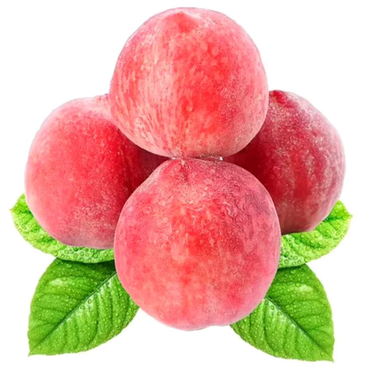 honey peach(Anchor development)