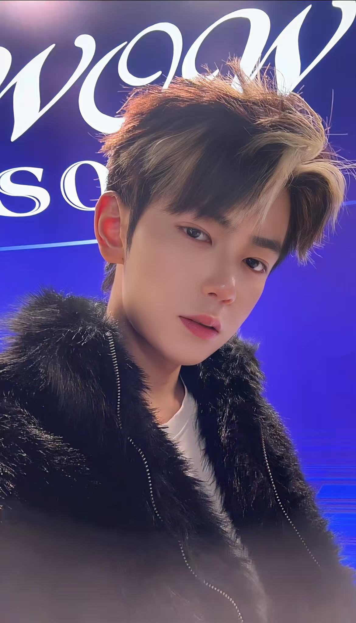 Sylas 20k (Développement d'Anchor)