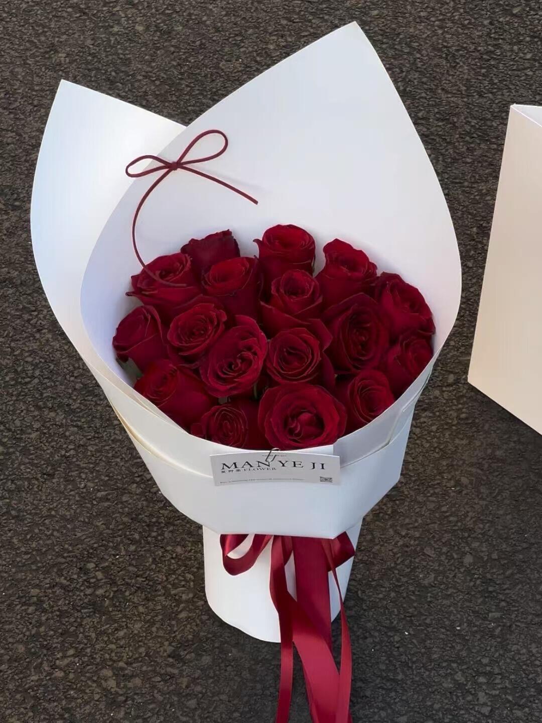 17 rose (sviluppo dell'ancora)