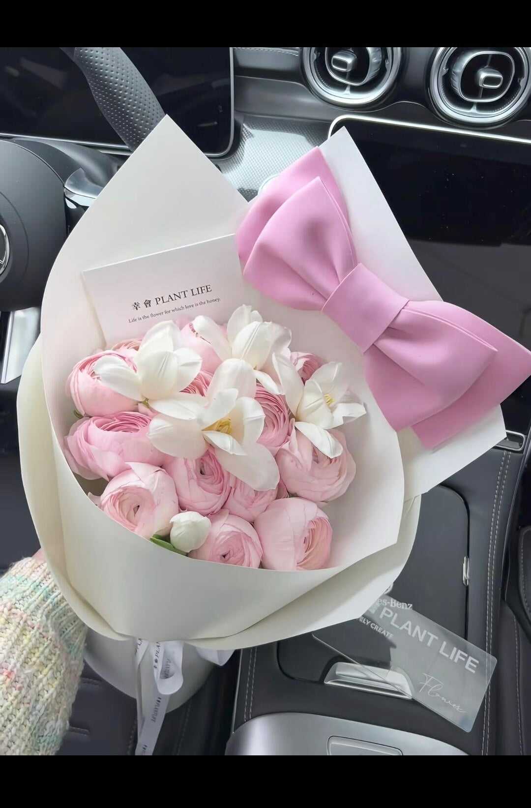 13 rose (sviluppo dell'ancora)