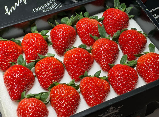 strawberry(Anchor development)