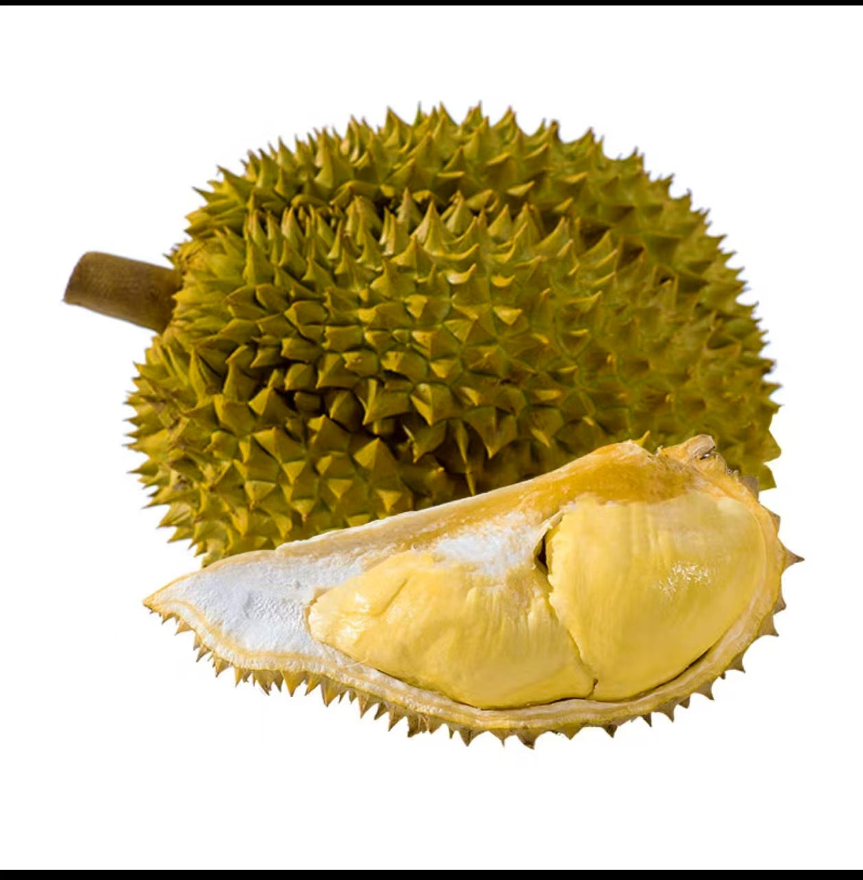 Durian (Ankerentwicklung)