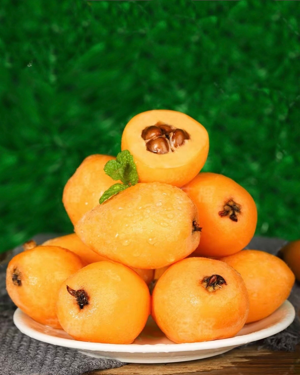 loquat(Anchor development)